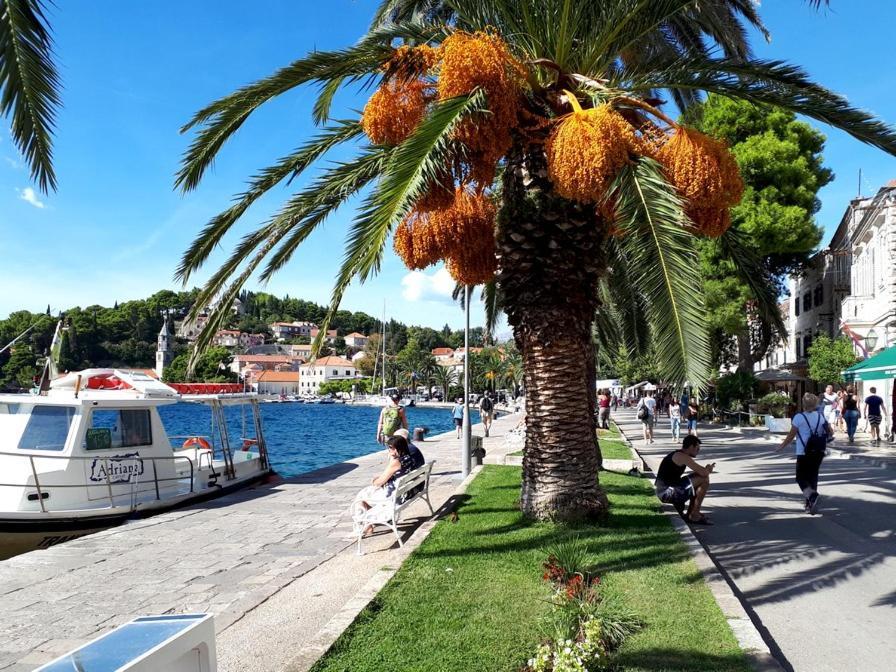 Apartments Rilovic, City And Sea View Apartments Cavtat Ngoại thất bức ảnh