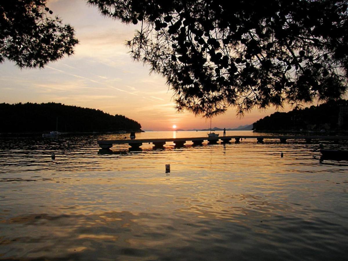 Apartments Rilovic, City And Sea View Apartments Cavtat Ngoại thất bức ảnh